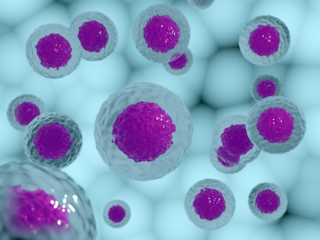 A 3D illustration of purple and white stem cells.