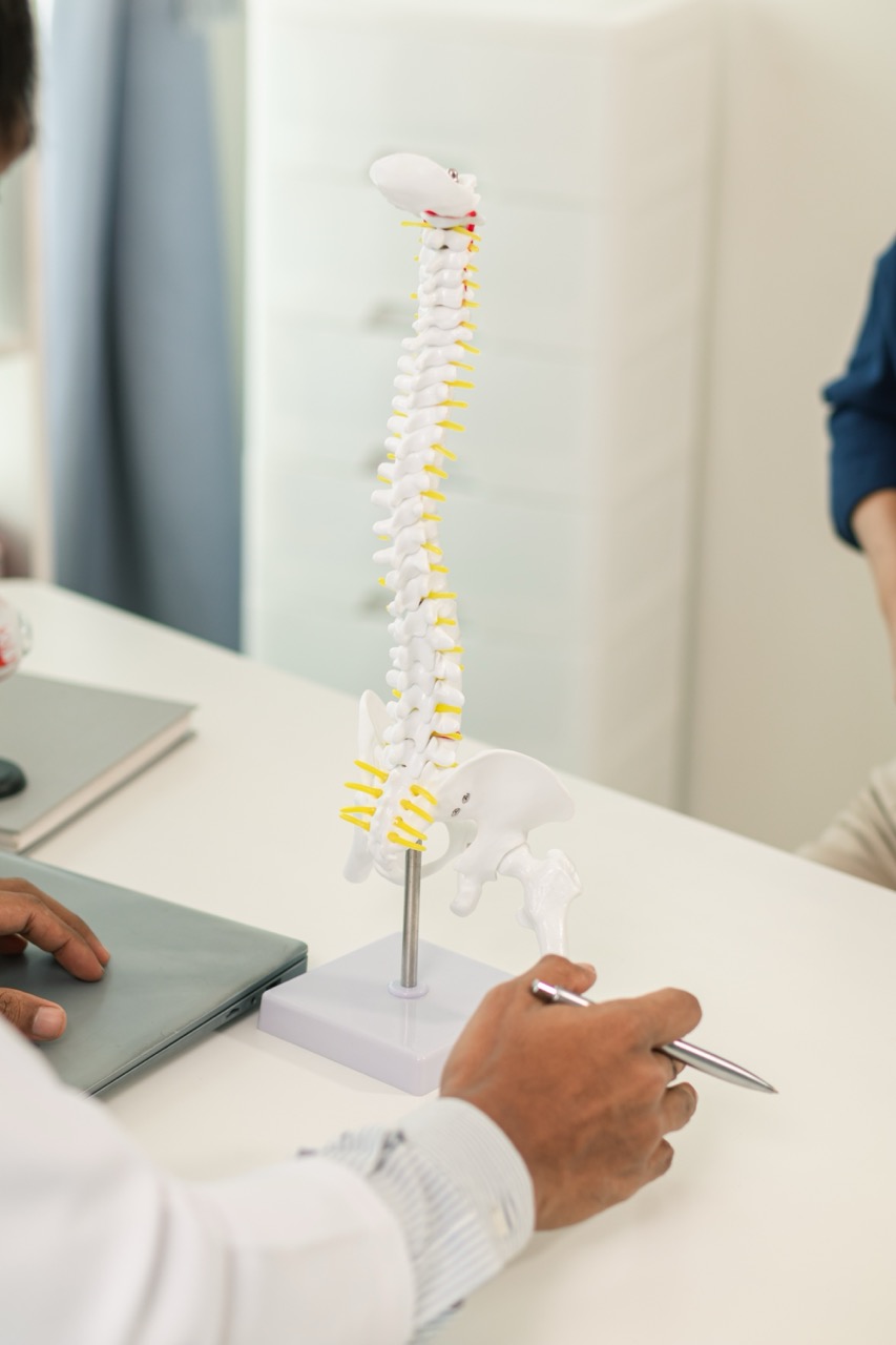Pain management specialist looking at a model of a spine with his patient in a doctor’s office.