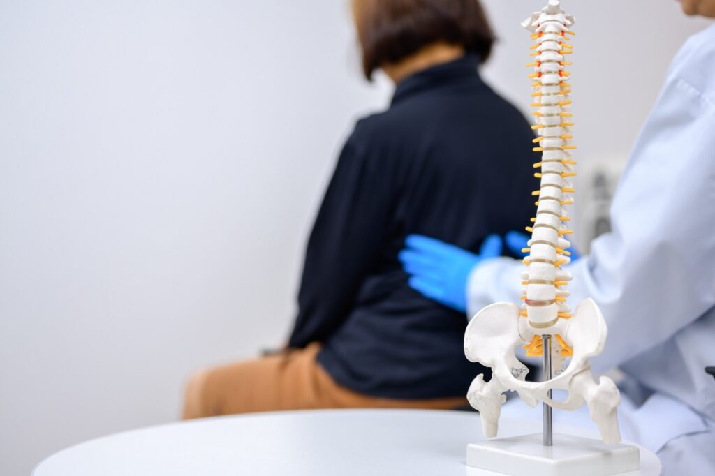 A model of a spine sitting on a table with an orthopedic back doctor treating a patient.
